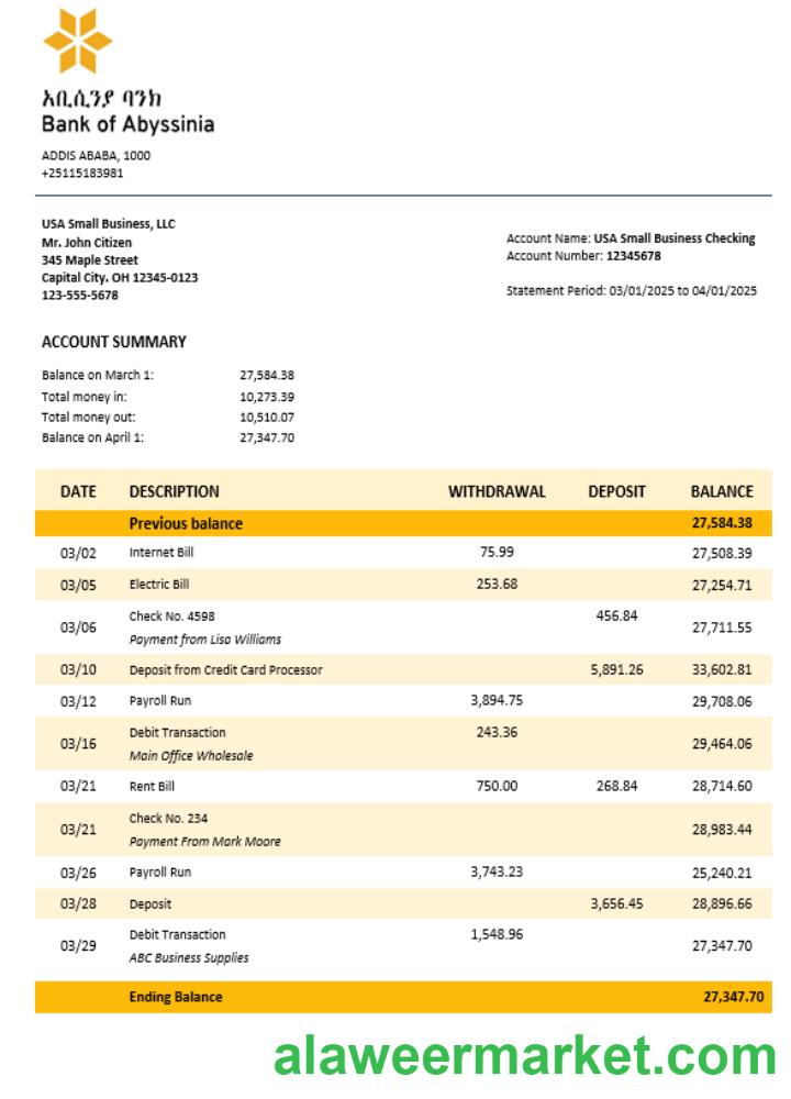 Bank of Abyssinia business bank statement Word and PDF format